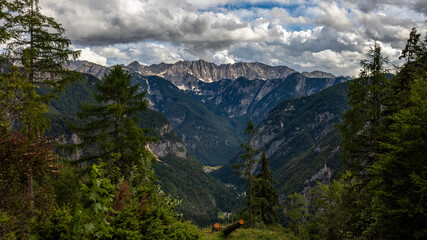 Landschaft im Triglav Nationalpark in Slowenien