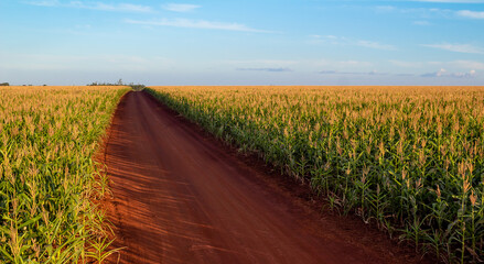 Country road.