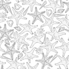 Marine seamless pattern from hand drawn sea shells and starfish. Nautical vector pattern in line art style isolated on white. Wallpaper, wrapping paper, textile design