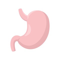 Donor stomach icon flat isolated vector