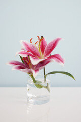 lily flower and bud on transparent glass vase