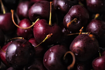 Close up of a pile of ripe sweet cherries with stalks.
