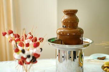 Fondue with a chocolate fountain and sweets for it.Sweet theme
