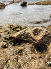 rocks on the beach