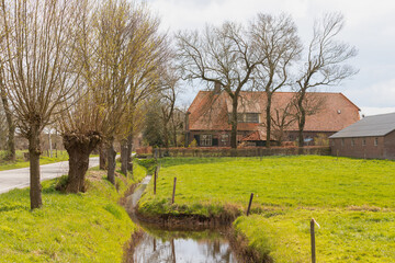 A farmhouse with barn along a country road with pollard willows in the countryside.