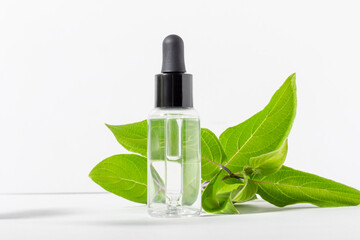 Transparent glass bottle with a dropper with moisturizer on a white background. Natural cosmetic face serum with hyaluronic acid with green leaves