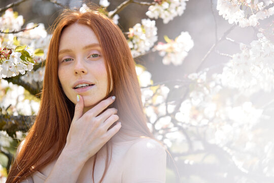 portrait of good-looking redhead woman in spring garden. caucasian Female among the flowering trees, posing at camera, looking sensual and happy, touching face skin. copy space