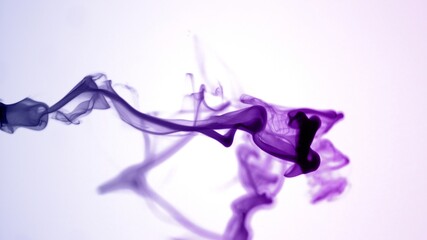 Isolated Purple Violet Ink Cloud floating in clear water. Macro Shot on White Background with...