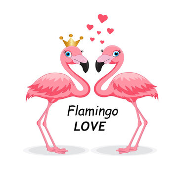 Flamingo birds couple heart love symbol isolated vector image 