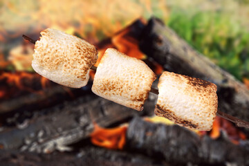 Delicious puffy marshmallows roasting over bonfire outdoors