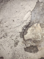 Mold in the wall of a bathroom