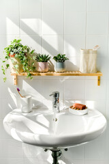 Close up of white sink in bathroom in eco-froendly style. Many green plants and sustainable products. Shadows from sunlight on background. Zero waste, eco friendly products, sustainability. Wellness