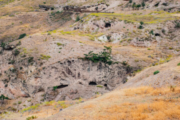 beautiful landscape in the desert