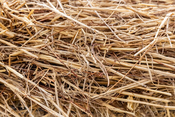 Hay close-up. Hay texture. Background. Dry grass. Animal nutrition concept. Animal nutrition concept. Photo.