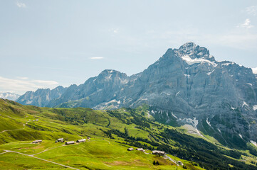 Obraz premium Grindelwald, Wetterhorn, Grosse Scheidegg, Schreckhorn, Oberläger, Schreckfeld, First, Wellhorn, Oberer Grindelwaldgletscher, Berner Oberland, Alpen, Wanderweg, Höhenweg, Sommer, Schweiz