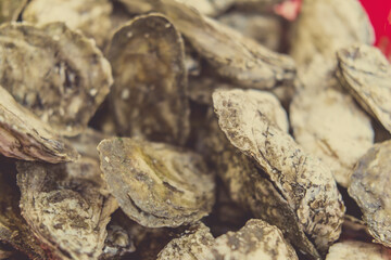 Oysters Seafood Market