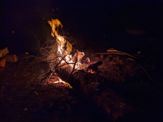bonfire in the forest at night. campfire flame on black background.