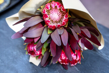 gorgeous Pink Ice Protea, unique tropical flower . elegant flower arrangement of a pink king protea,