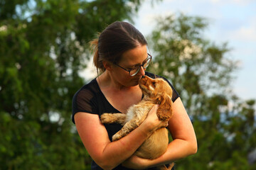 Amazing, newborn and cute red English Cocker Spaniel puppy detail. Small and cute red Cocker Spaniel puppy running in the green grass, morning sun. Green background.