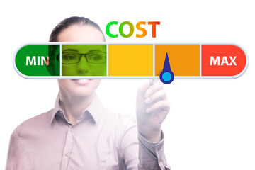 Businesswoman in cost management concept