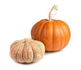 Two pumpkins of different varieties and shapes isolated on a white background. Healthy food.