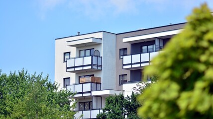 Eco architecture. Green tree and apartment building. The harmony of nature and modernity.
