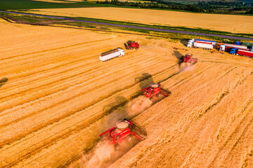wheat harvesting process. red combines work in the field. Aerial drone photo