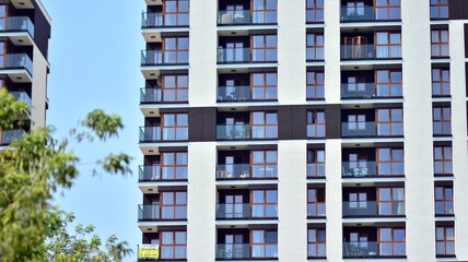 Fototapeta premium Eco architecture. Green tree and apartment building. The harmony of nature and modernity.