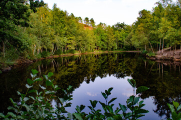 Lac dans une forêt
