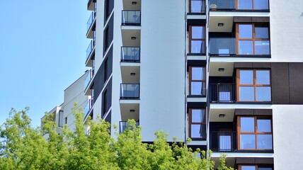 Eco architecture. Green tree and apartment building. The harmony of nature and modernity. © Grand Warszawski