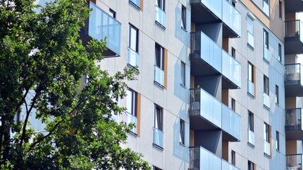 Eco architecture. Green tree and apartment building. The harmony of nature and modernity.