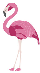 A pink flamingo stands tall. Vector illustration