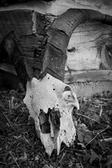 Laid to rest