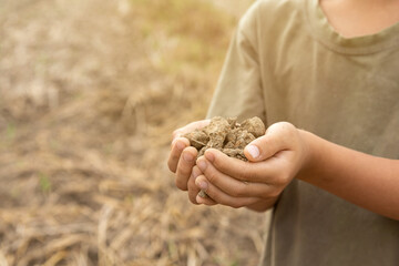 Naklejka na ściany i meble Soil in children's hands for planting trees. Selective focus.