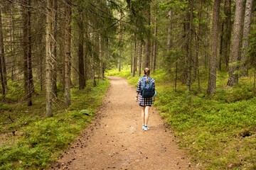 one girl with a blue backpack walks along a forest path among tall fir trees.