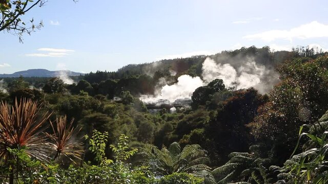 Smoke over Te Puia - New Zealand, North Island