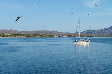 Fototapeta na wymiar Sailing on a small boat into the bay surrounded by seagulls and mountains in Loreto Baja California Sur. Sea of Cortes Mexico
