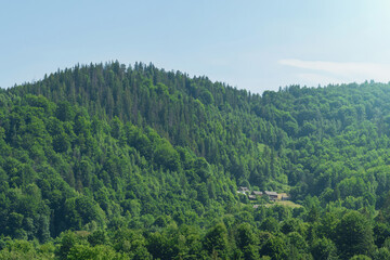 Obraz premium Houses of a mountain village in the middle of the forest in the mountains