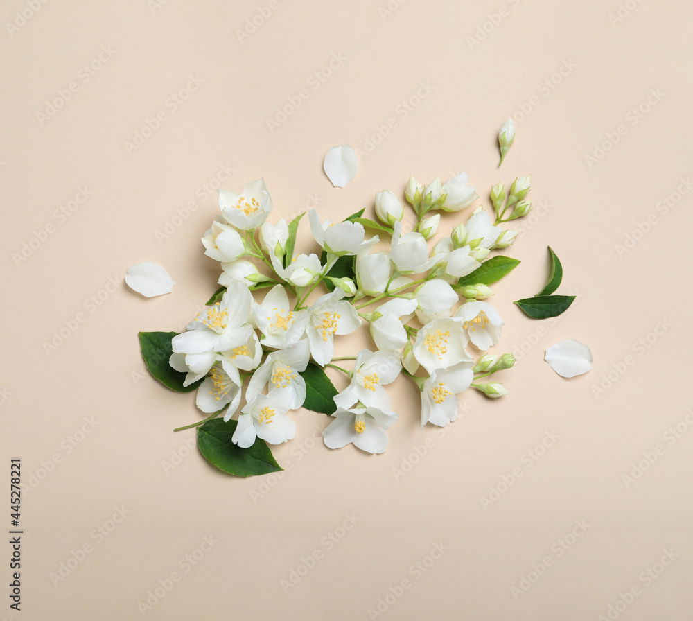 Wall mural Flat lay composition with beautiful jasmine flowers on beige background