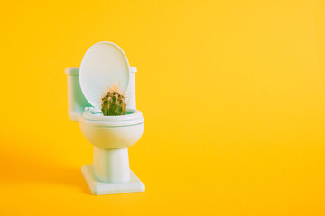 Sharp cactus in miniature toilet pot on yellow background copy space