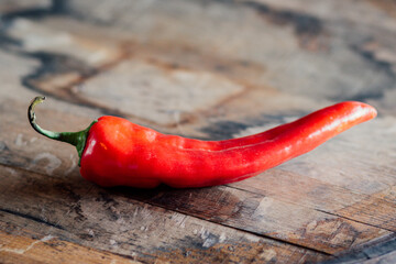a single red Hungarian goat horn chili pepper 