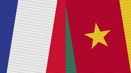 Cameroon and France Two Half Flags Together Fabric Texture Illustration