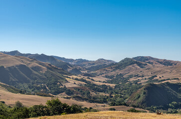 Fototapeta na wymiar Cambria, CA, USA - June 9, 2021: Morning light on Back country hills used for ranching under blue sky. Dry grass with patches of green trees. Mountainous region.
