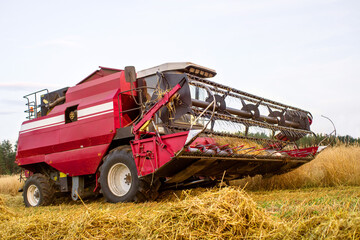 Red combine harvester reaps wheat in the field. Harvest. Agricultural work in the field