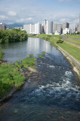 Fototapeta na wymiar 豊平川の風景