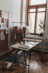 Corgi lies on carpet in office. Photo of cozy apartment with big window, wooden table, paper sheets, clothes patterns