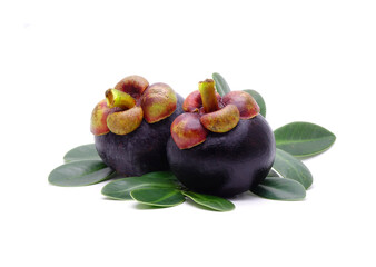 Mangosteen isolated on white background. Mangosteen (Garcinia mangostana), also known as the purple mangosteen. Famous exotic fruits from Thailand