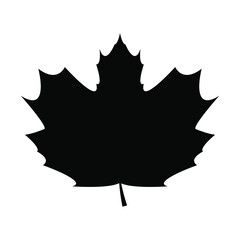 leaf icon png vector isolated on white background.