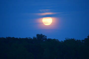 Fototapeta premium moon on lake