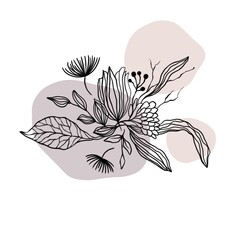 Flower drawing illustration modern 